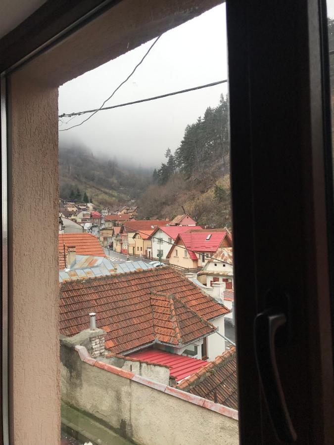 Villa Casa Mountain View Brașov Exterior foto