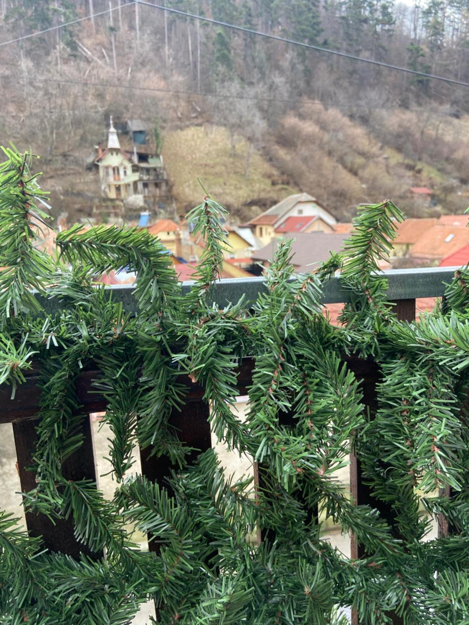 Villa Casa Mountain View Brașov Exterior foto